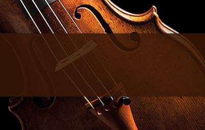 Typhonic Samples Free Samples Download Violin Movements Instrument Sounds